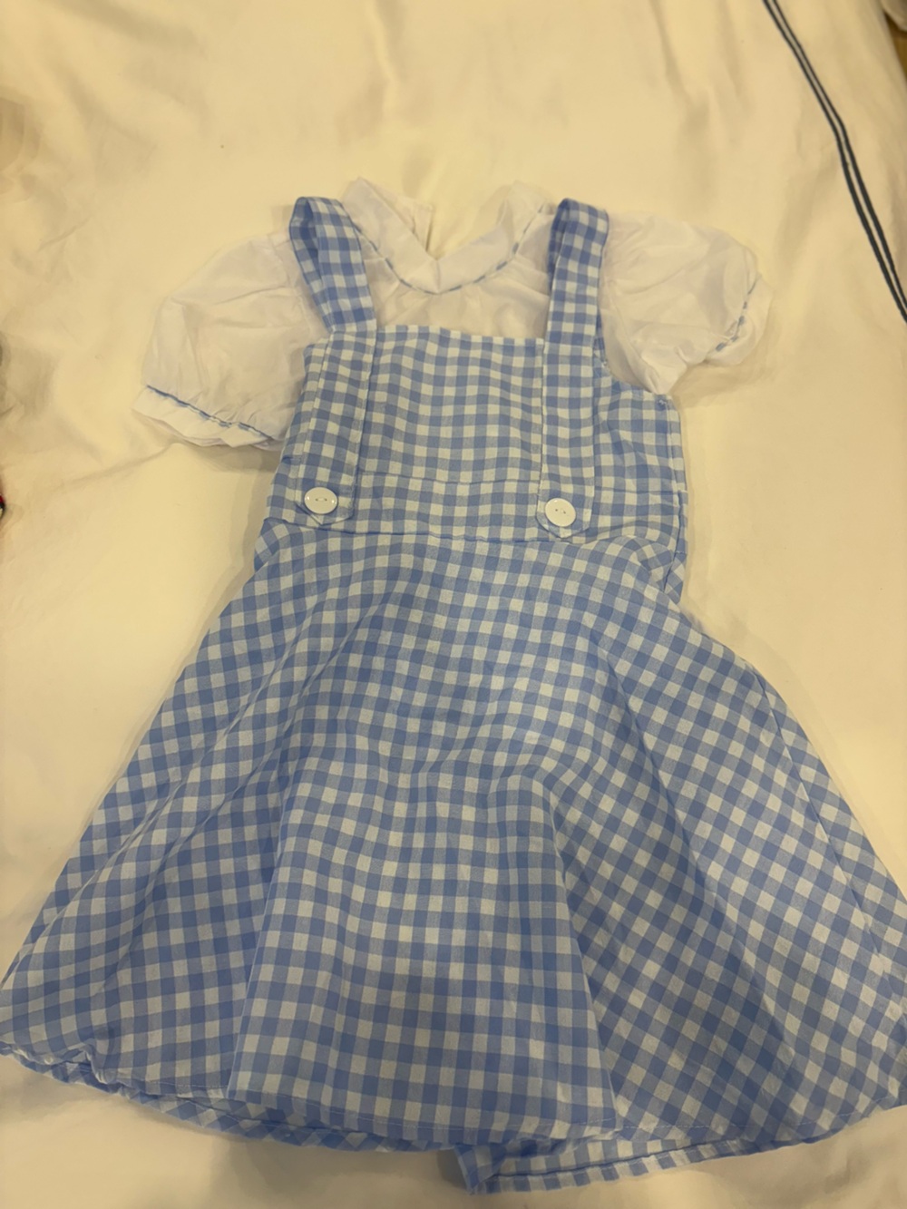 Dorothy costume. Wizard of Oz